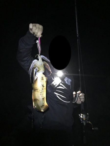 雨の後のエギング、秋のアオリイカゲット